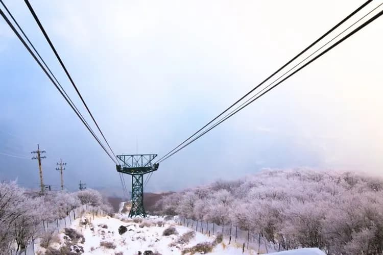 別府鶴見岳纜車