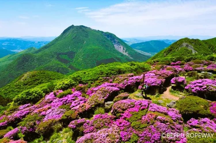 別府鶴見岳纜車