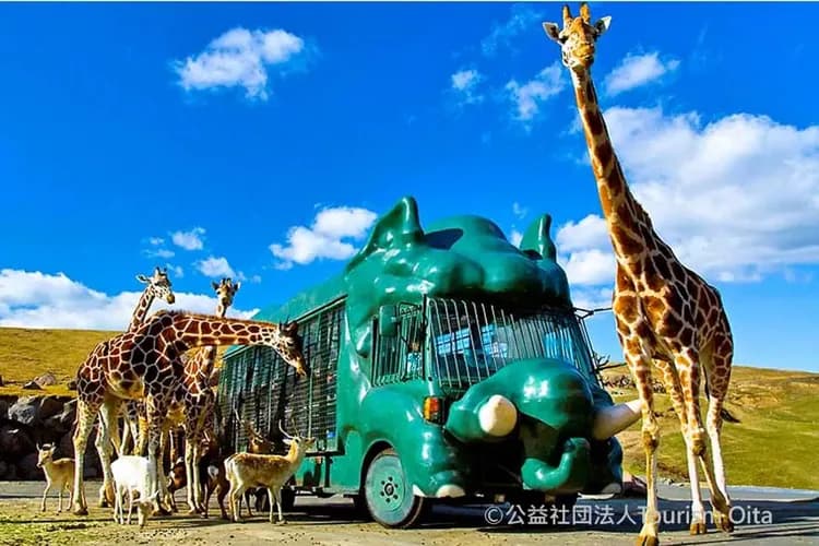 九州鐵道旅行～自然動物園、別府空中纜車、日本百選溫泉、由布院之森列車五日