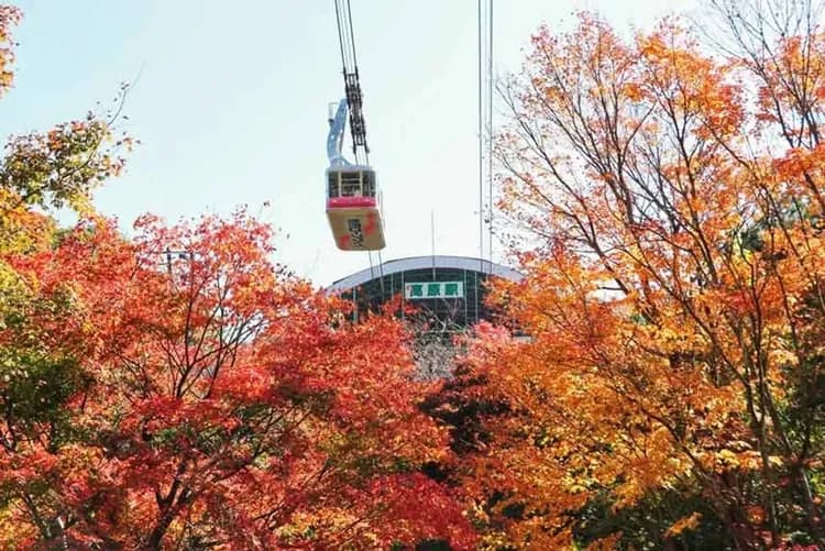 別府鶴見岳纜車