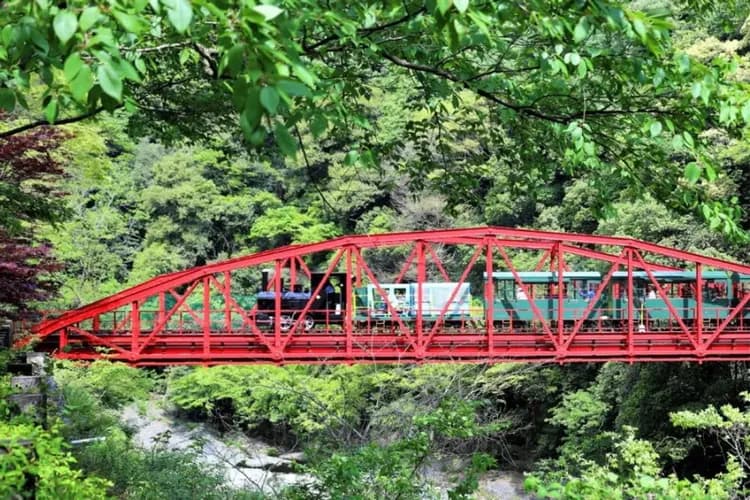 TXG高松四國～住宿小豆島、伊予小京都、予讚海岸列車、兩晚溫泉饗宴五日-11