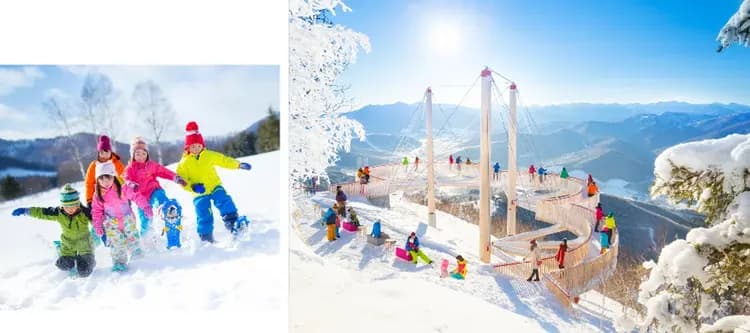 星雪戀北海道保住星野TOMAMU5日.霧冰纜車.愛麗絲冰城.青池秘境.旭山動物園.白色燈節.三大螃蟹吃到飽-5