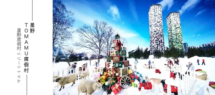 星雪戀北海道保住星野TOMAMU5日.霧冰纜車.愛麗絲冰城.青池秘境.旭山動物園.白色燈節.三大螃蟹吃到飽-6