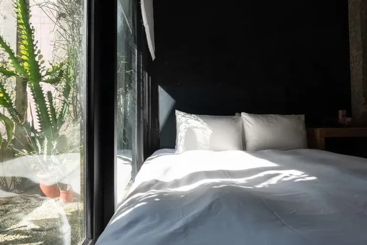 【高鐵假期】 台中植光花園酒店2日自由行-6