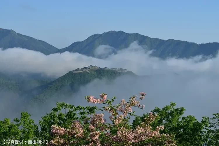 竹田城跡(日本當地導遊導覽)