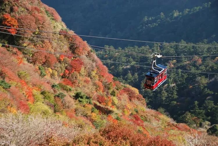 九州鐵道旅行～天草海豚遊船、雲仙熊本風情、柳川扁舟搖船、JR特級A列車五日-7