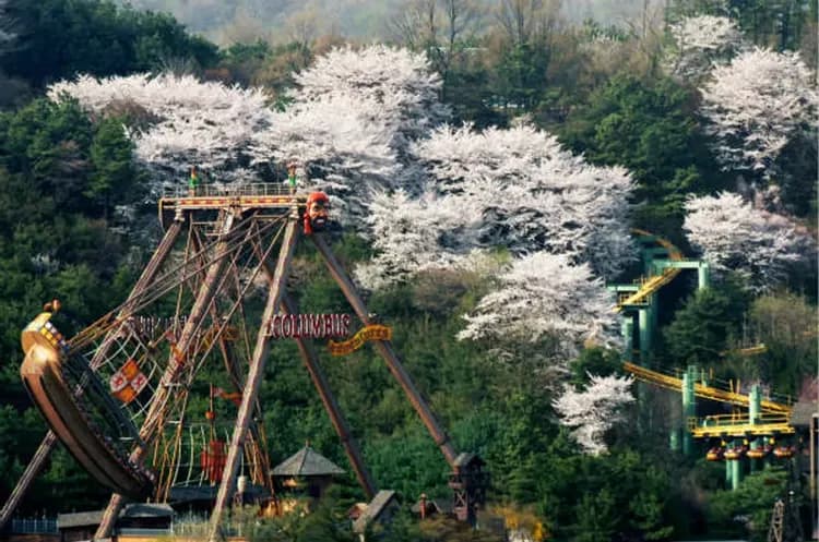 愛寶樂園(門票+自由券+賞櫻)