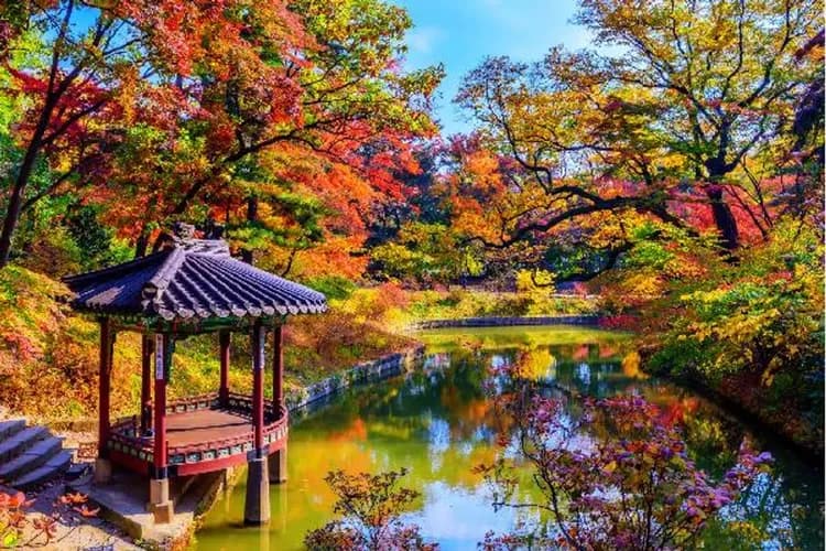 (賞楓)-昌德宮(世界遺產)