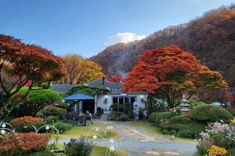 庭園景觀咖啡廳(安排藍絲帶餐廳用餐)