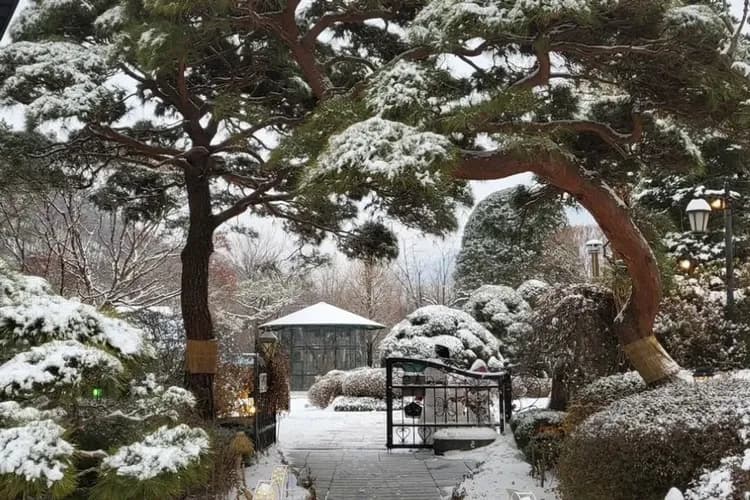 庭園景觀咖啡廳(安排藍絲帶餐廳用餐)