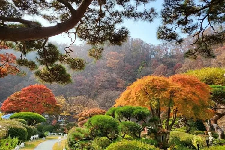 庭園景觀咖啡廳(安排藍絲帶餐廳用餐)