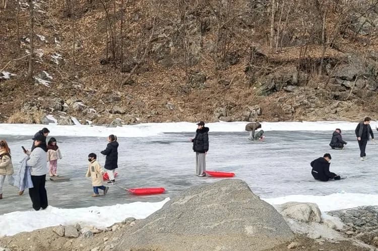 庭園景觀咖啡廳(安排藍絲帶餐廳用餐)