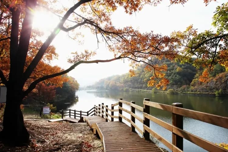 【快閃慶南、買一送一】水道觀景纜車、晉州夜間遊船、光影魔法森林、海女村汗蒸幕三日