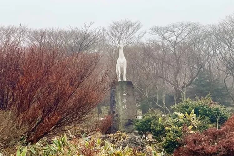 漢拏山1100高地-漢拏山1100高地(秋楓、冬雪)