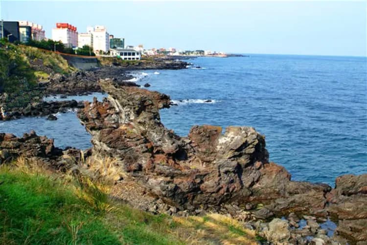濟州發燒賣～海女博物館、漢拏山銀河雪、活章魚海鮮鍋、乙晚市區五星五日-9