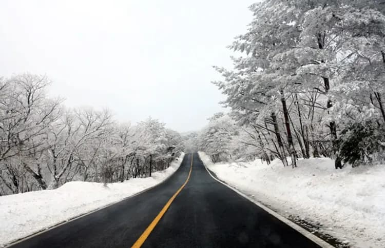 漢拏山(1100高地冬日雪景)