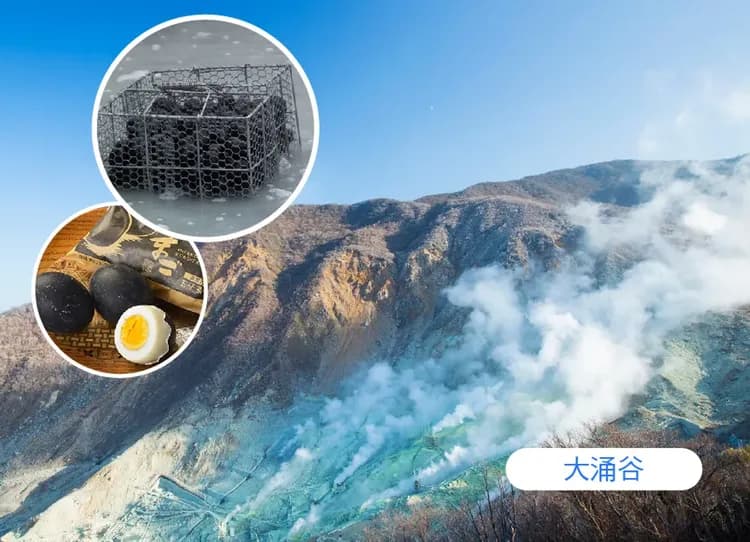 【高雄出發】東京櫻映富士溫泉5日.日本櫻花百選.千鳥之淵櫻步道.晴空塔.鐮倉古都漫遊.御殿場OUTLET-5