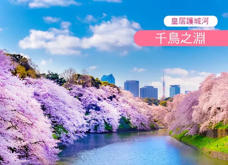 【高雄出發】東京櫻映富士溫泉5日.日本櫻花百選.千鳥之淵櫻步道.晴空塔.鐮倉古都漫遊.御殿場OUTLET