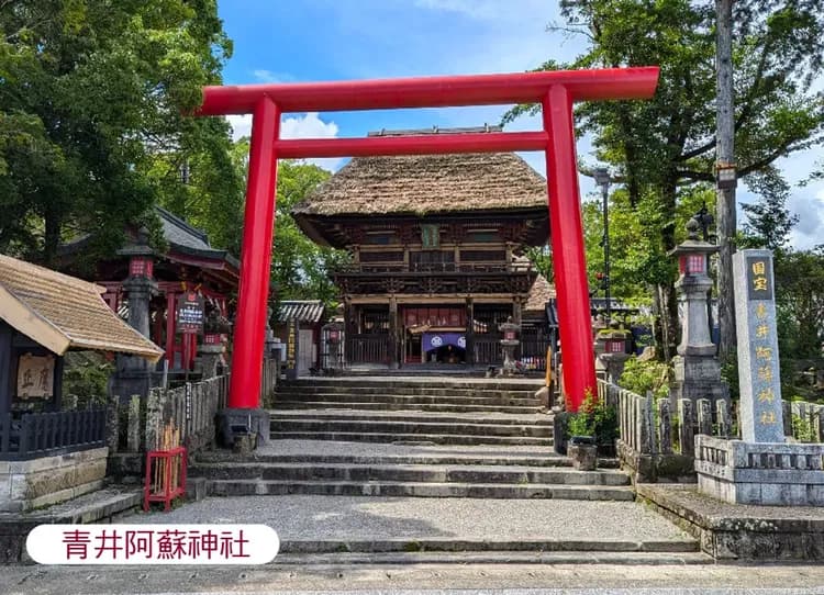 限時限量幸福南北九州5日.球磨燒酒見學.阿蘇草千里.柳川遊船.仙巖園.國寶青井神社.長腳蟹.酒水喝到飽(福岡進鹿兒島出)-10