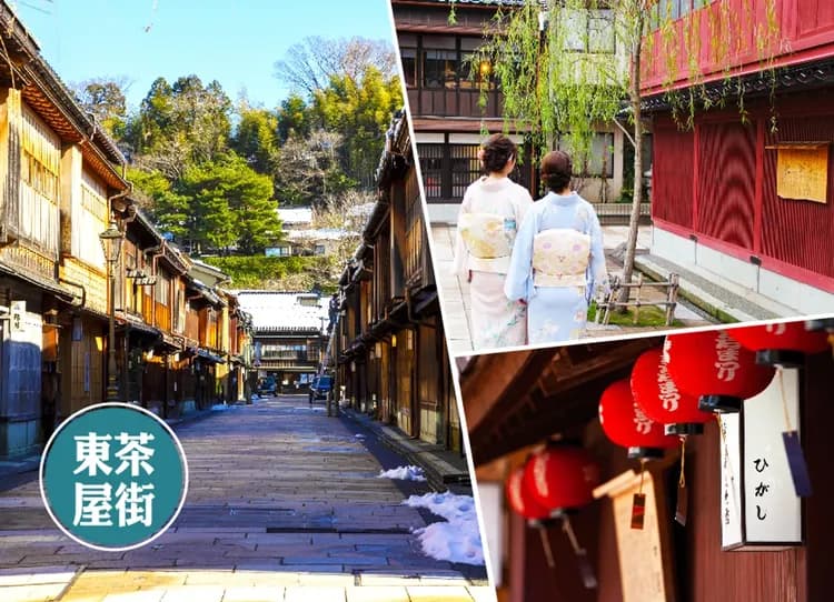 春櫻飛舞名松雙溫泉5日.足羽川隧道.長良川鐵道.一乘谷朝倉氏遺跡.金箔冰淇淋.百十郎櫻花.合掌村.下呂溫泉-6