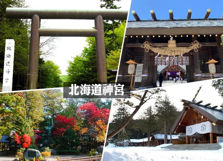 高雄出發星野函館OMO5北海道雙溫泉5日.尼克斯企鵝遊行.萌熊牧場.函館百萬夜景.浪漫小樽.螃蟹燒肉吃到飽-12