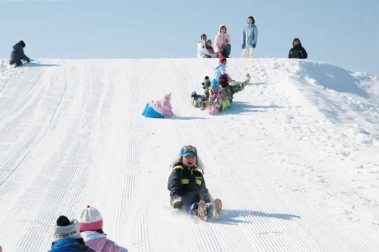 快閃北海道旅遊｜冬季雪盆戲雪.函館山空中纜車.小樽運河漫遊.貍小路商店街.溫泉美食函函四日
