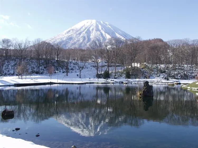 招財北海道旅遊｜洞爺湖燈節祭.札幌白色樹燈節.雪盆戲雪.企鵝遊行.小樽漫遊.溫泉美食五日
