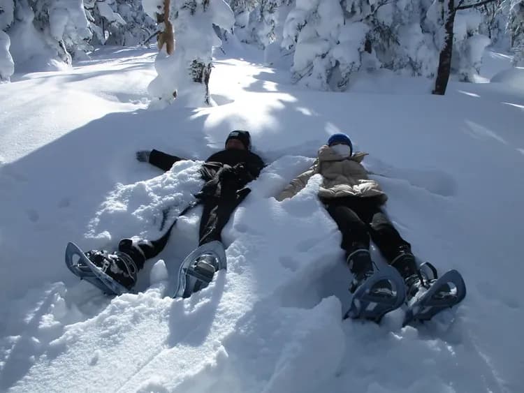 【山形縣米澤市】山形天元台樹冰纜車 | 纜車＆吊椅觀光套票-7