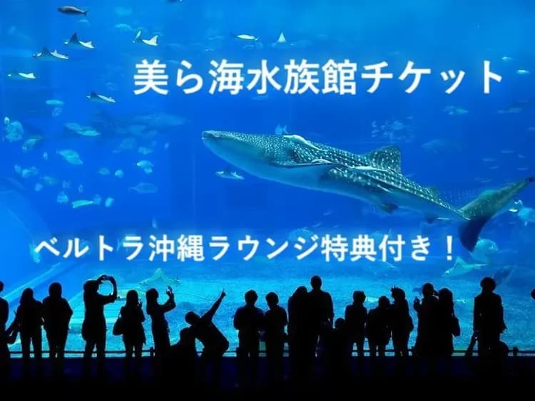 沖繩美麗海水族館門票(國際通Veltra 沖繩 Lounge 領取)| 事先兌換輕鬆入館,附贈 Lounge 來店特典-6