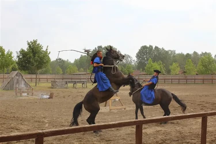 遨遊匈羅雙國│地下鹽礦遊樂場．布蘭城堡．匈牙利馬術秀．吸血鬼故鄉．埃格爾公牛血．錫比烏．布拉索夫10日-10