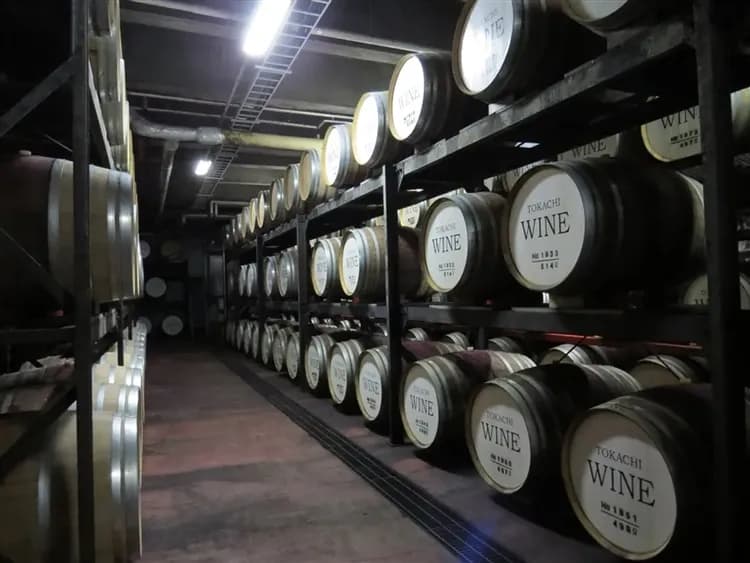 三零深度北海道旅遊|全程無自理餐|冬季破冰船.釧路濕原.旭山動物園.雪上活動.洞爺湖.熊牧場.函館夜景.螃蟹溫泉八日-6