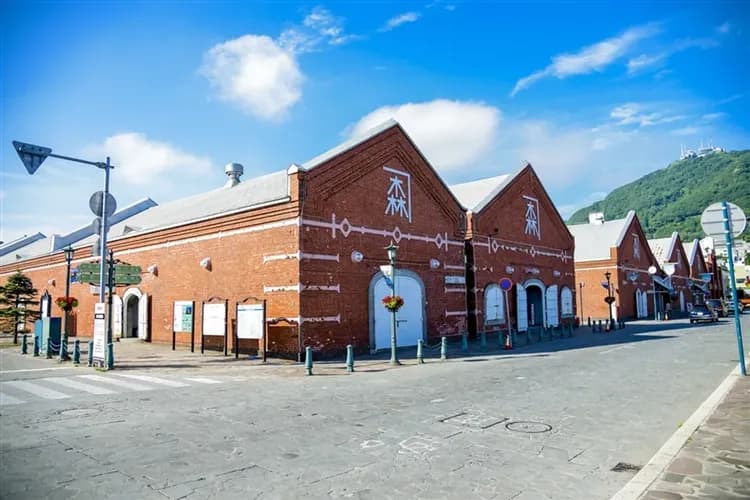 寒假折2,000｜迎春冬季北海道洞爺燈節.企鵝遊行.函館夜景.冰釣公魚.北極星列車.升等螃蟹和牛吃到飽五日｜三晚溫泉-5