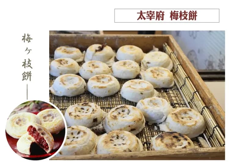 九州夢幻紫藤戀雙溫泉5日.河內藤園.海濱粉蝶花.山田大藤.湯布院小鎮.夢幻金麟湖.柳川扁舟.-14