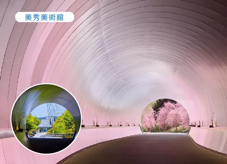 璀璨關西立山黑部6日和牛螃蟹吃到飽.京都teamlab.美秀美術館.名花之里.採果樂.合掌村.兼六園(大阪)-6