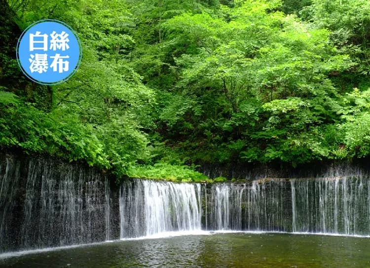 花現立山黑部5日.紫藤粉芝櫻.米其林合掌村.上高地.金澤兼六園.雙溫泉美食(中華)-10