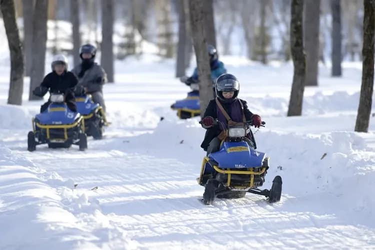 早鳥折1500｜北海道｜白色燈樹節.函館纜車.小樽音樂盒DIY.雪上活動.三大蟹吃到飽.保住三晚溫泉.五日｜【高雄直飛】-5