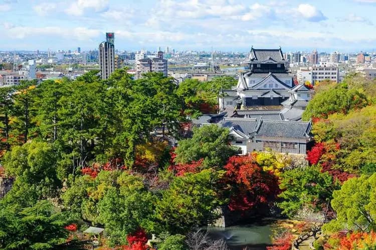 旅天下快閃北陸｜名花之里彩燈祭.千年之森.館山寺纜車.濱名湖.味噌之鄉.酒造見學.長腳蟹吃到飽溫泉四日-8