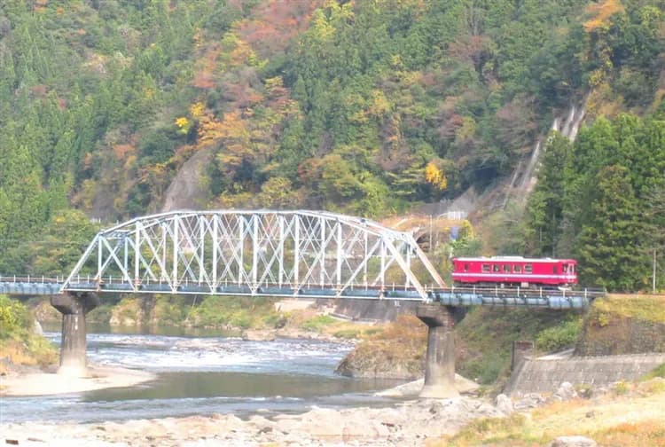 北陸清倉｜名花之里彩燈祭.長良川鐵道.白川鄉合掌村.飛驒高山.千鳥居.美濃DIY溫泉六日-5
