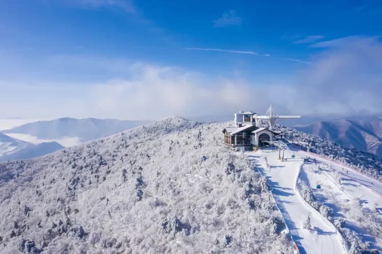 【首爾/仁川機場 - 龍平度假村】滑雪季接駁巴士|2025/12月-2026/3月營運-5