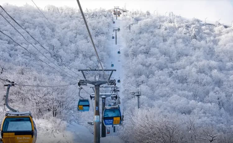 【龍平度假村】單板/雙板滑雪教練課程|1對1、1對多私人教學-7