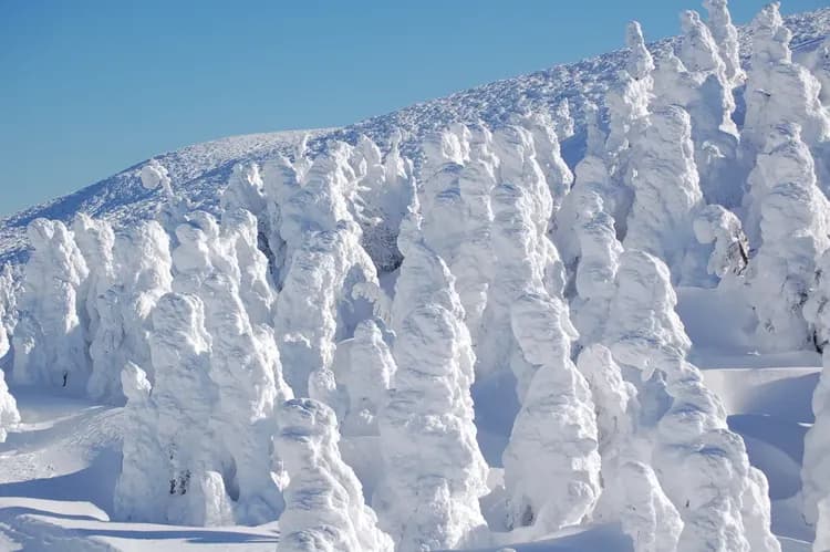 【東京出發】藏王廣場日式旅館 4天3夜｜藏王温泉滑雪場  含交通新幹線 早晚餐 纜車券3日-10