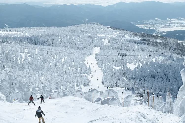 【東京出發】藏王廣場日式旅館 4天3夜｜藏王温泉滑雪場  含交通新幹線 早晚餐 纜車券3日-8