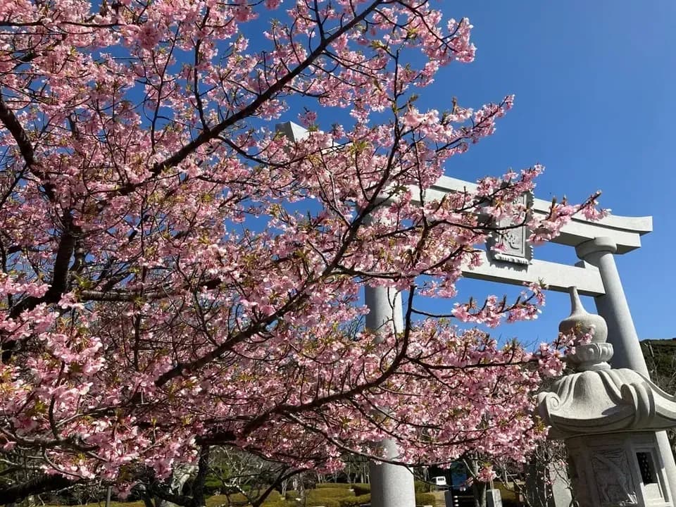 鑽石公主號 全覽日本與紅葉 15天