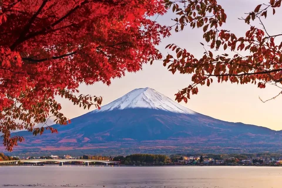 鑽石公主號 全覽日本與紅葉 15天