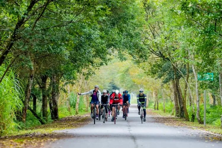 【單車旅行】2026復活節單車環島9日 (台北出發)-5