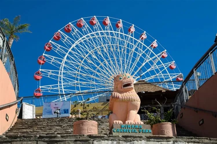 招財沖繩旅遊|春節就愛去沖繩～神宮祈福‧春遊賞櫻‧系滿魚市嚐鮮‧時尚購物‧海洋博物館‧輕旅四日|升等3晚A級市中心
