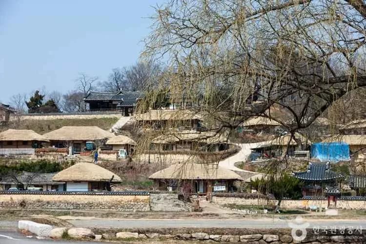 花現釜山鎮海櫻花｜EWORLD夜櫻.鎮海櫻花祭.浦項櫻花路.天空膠囊列車.金剛纜車(一站購物彩妝)五日-8