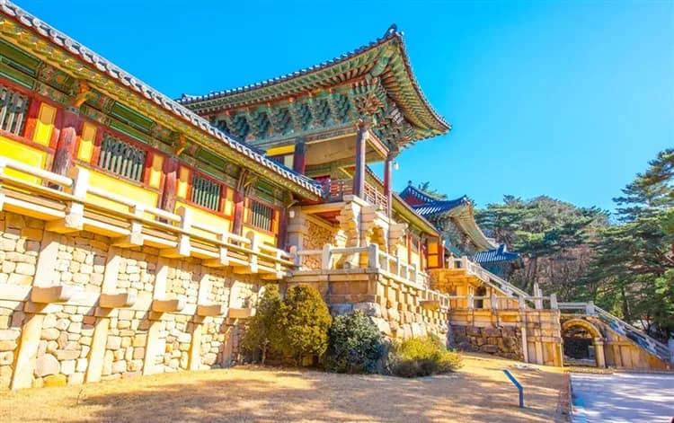 花現釜山慶州大邱櫻花｜升等五星飯店.鎮海櫻花祭.EWORLD夜櫻.櫻花散步路.韓服遊古宅.天空膠囊列車五日(一站購物彩妝-5