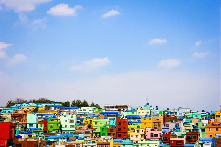 花現釜山慶州大邱櫻花｜升等五星飯店.鎮海櫻花祭.EWORLD夜櫻.櫻花散步路.韓服遊古宅.天空膠囊列車五日(一站購物彩妝-7