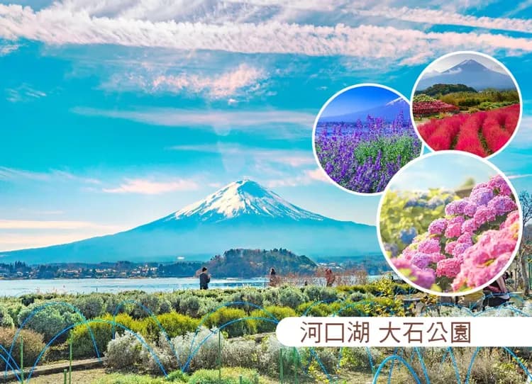 泰夢幻東京迪士尼6日.富士山大石四季花卉.採水果體驗.湯樂城主題泡湯.富士山纜車.燒肉吃到飽.螃蟹溫泉美食-5